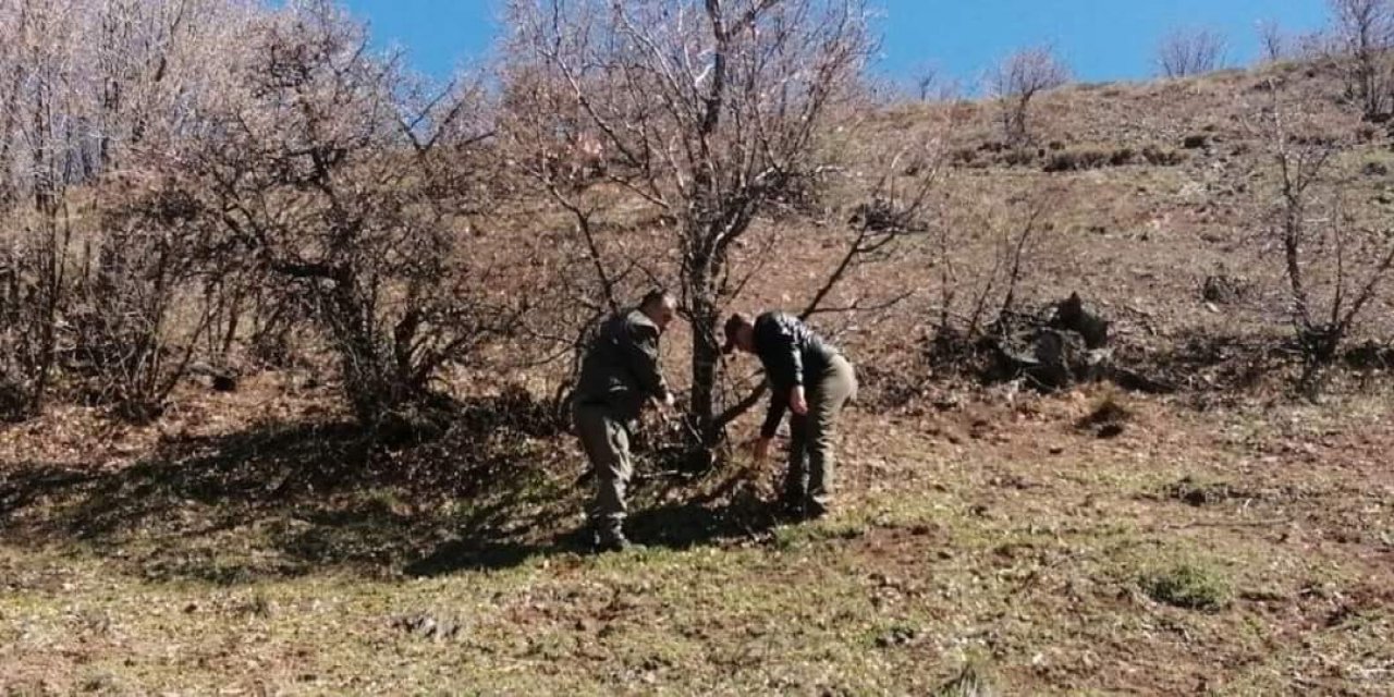 Yaban hayatı ve kaçak avcılar, fotokapanlarla tespit ediliyor