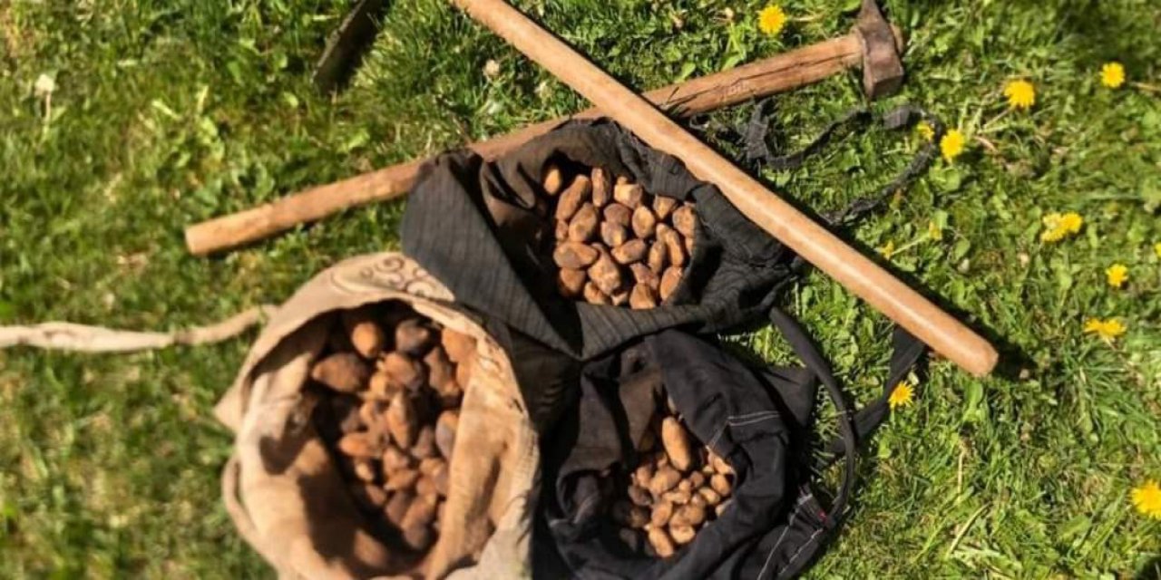Salep soğanı toplayan 8 kişiye 872 bin lira ceza