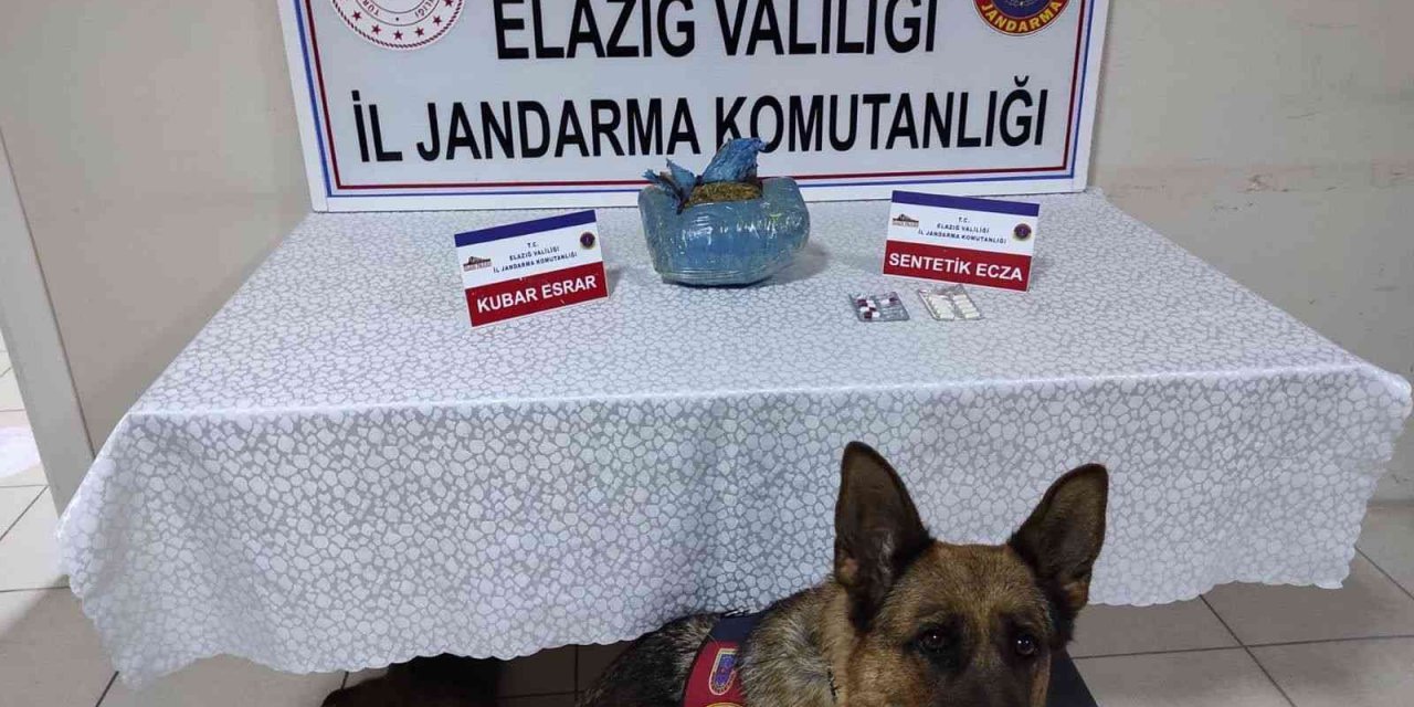 Uyuşturucu operasyonu: 1 gözaltı