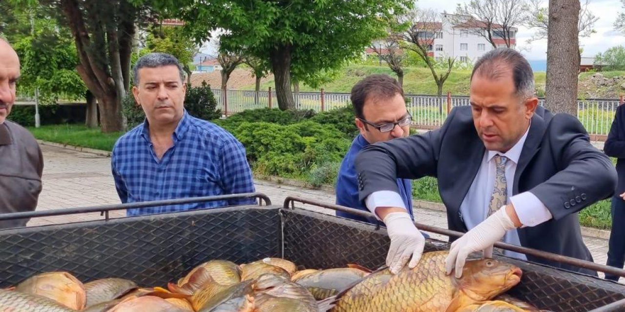 Elazığ’da kaçak avlanan 500 kilogram balık yakalandı