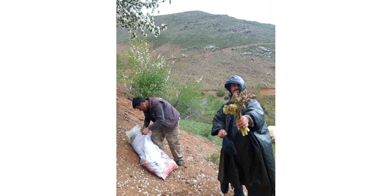 Elazığ’da Zorlu Işkın Mesaisi Sürüyor