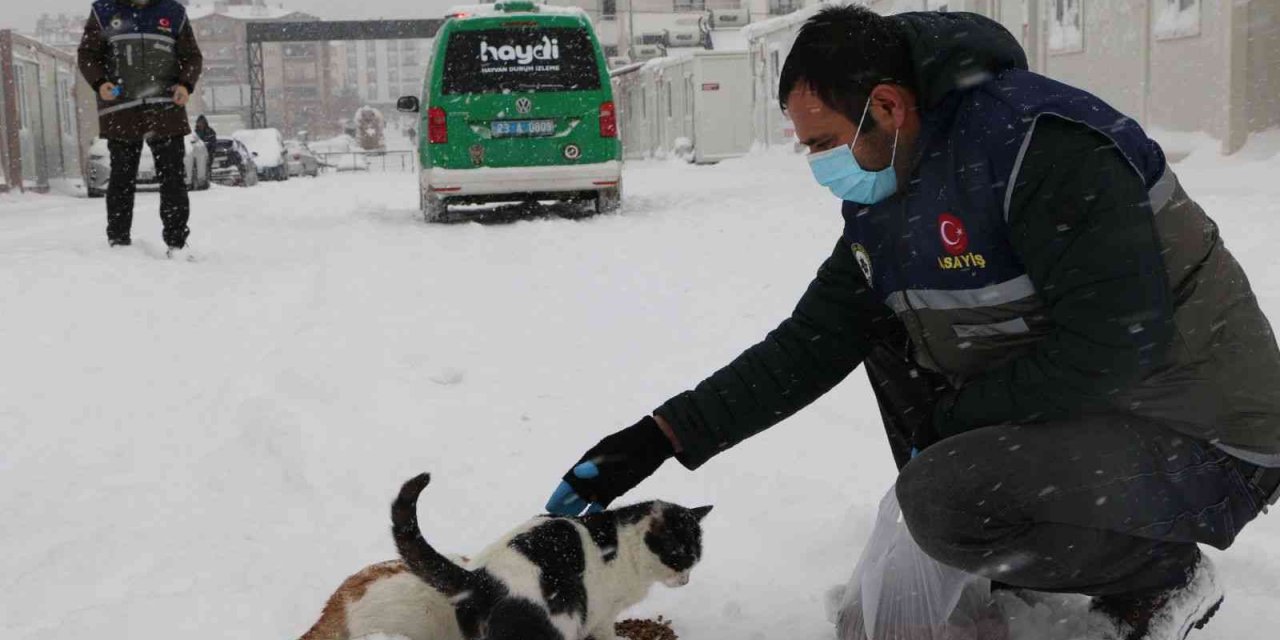 ’HAYDİ’ polisleri sokak hayvanlarını mamayla besledi