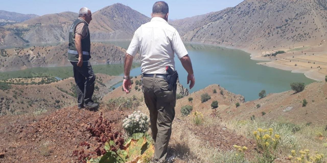 Elazığ’da Kaçak Avcılığın Önlenmesi İçin Denetimler Sürüyor