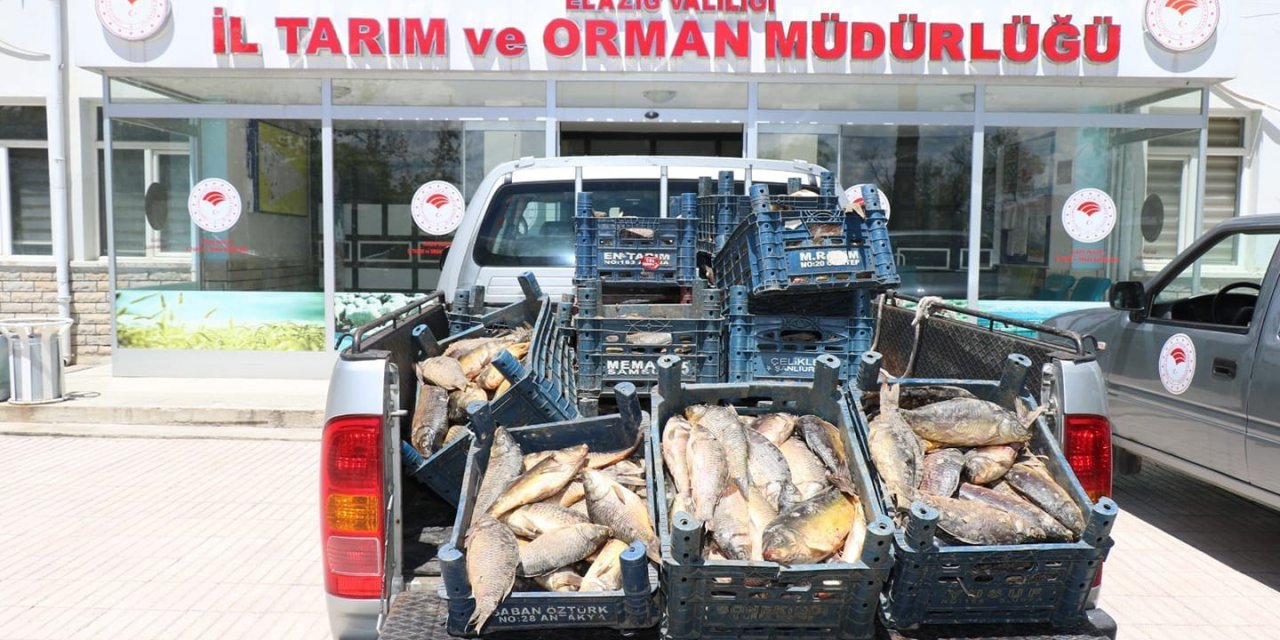 Elazığ’da Kaçak Avlanan 84 Kişiye 350 Bin Lira Ceza