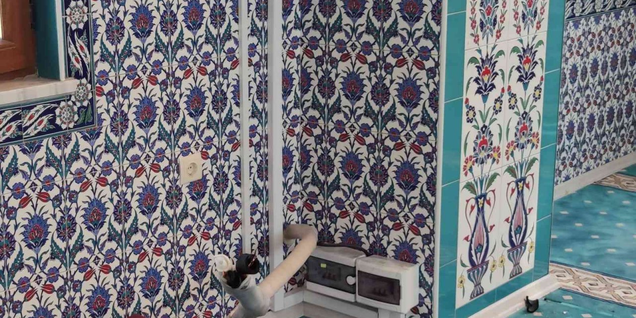 Elazığ’da Hırsızlar Gece Camiye Girdi