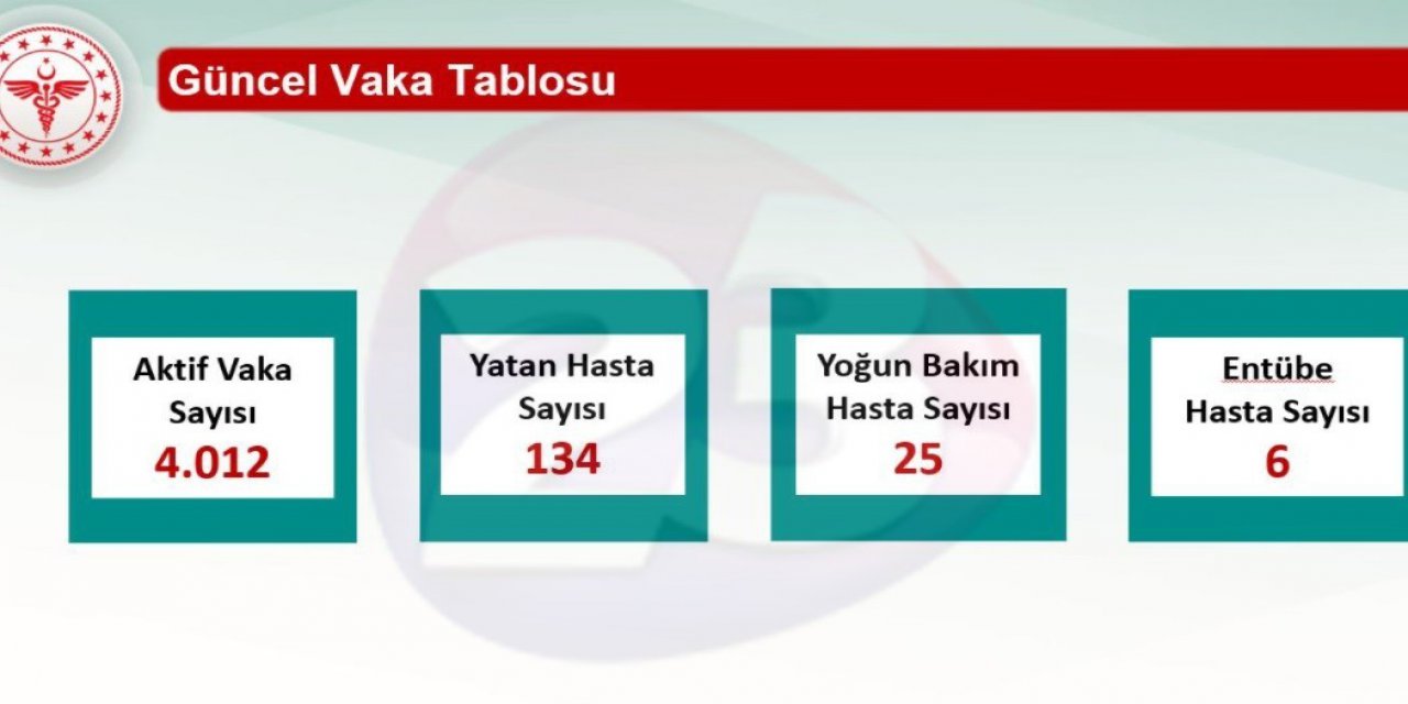 Elazığ’da 4 bin 12 aktif korona virüs vakası bulunuyor