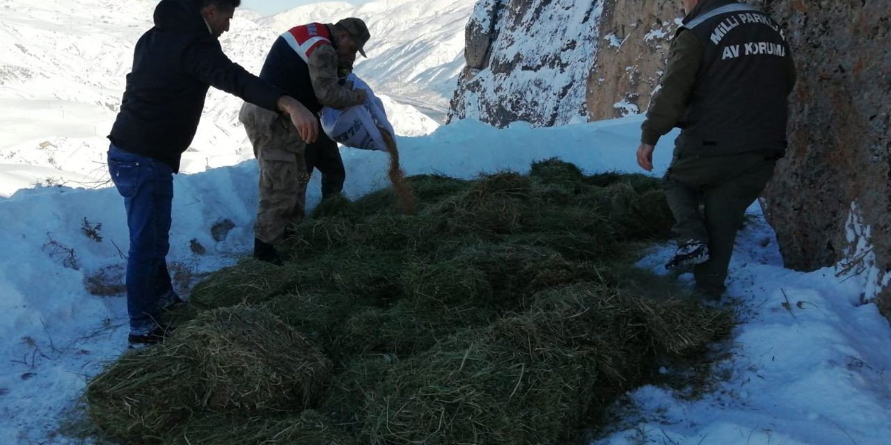 Yaban hayvanları unutulmadı, doğaya yem bırakıldı