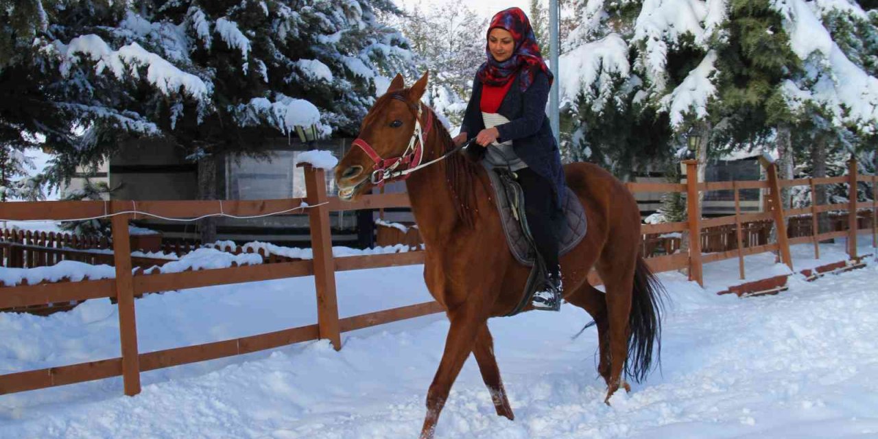 ’Yapamazsın’ dediler hırs yaptı Elazığ’ın tek kadın seyisi oldu