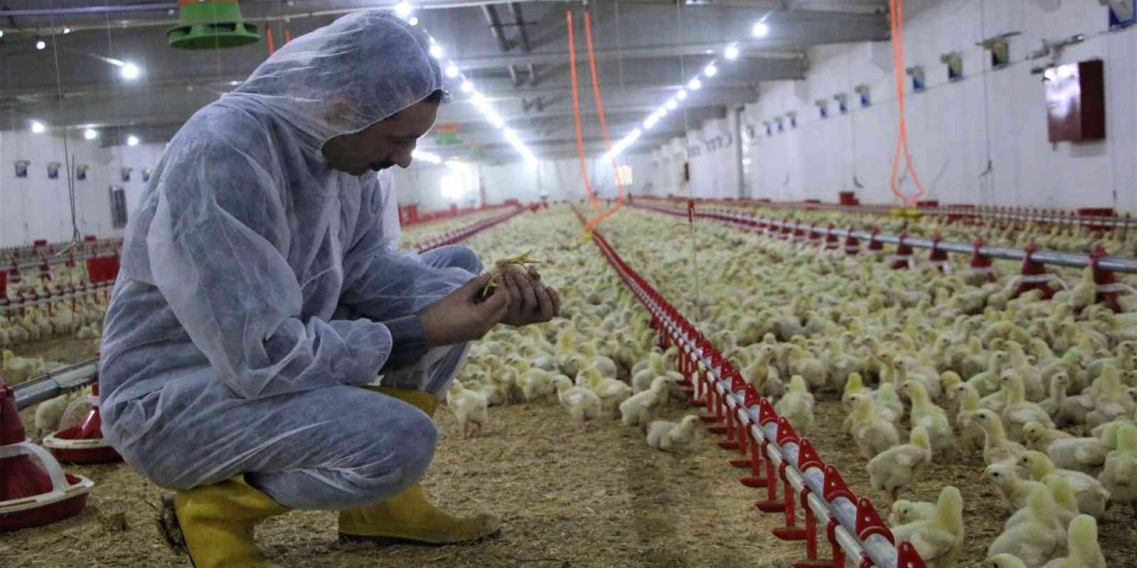 Devletten aldığı destek ile köye dönüp çiftlik kurdu