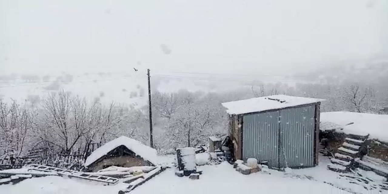 Mart ayında lapa lapa kar yağdı