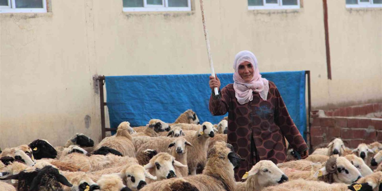 Köye yerleşen 3 çocuk annesi kadın devletten aldığı destekle çiftlik kurdu