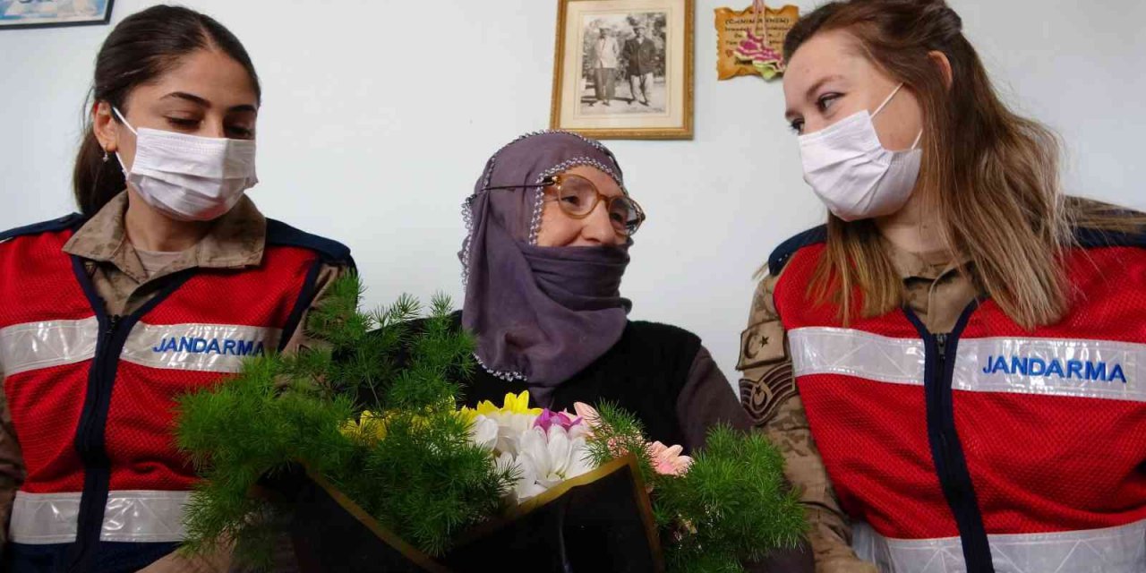 Dosta güven düşmana korku salan jandarma ekiplerinden anlamlı proje