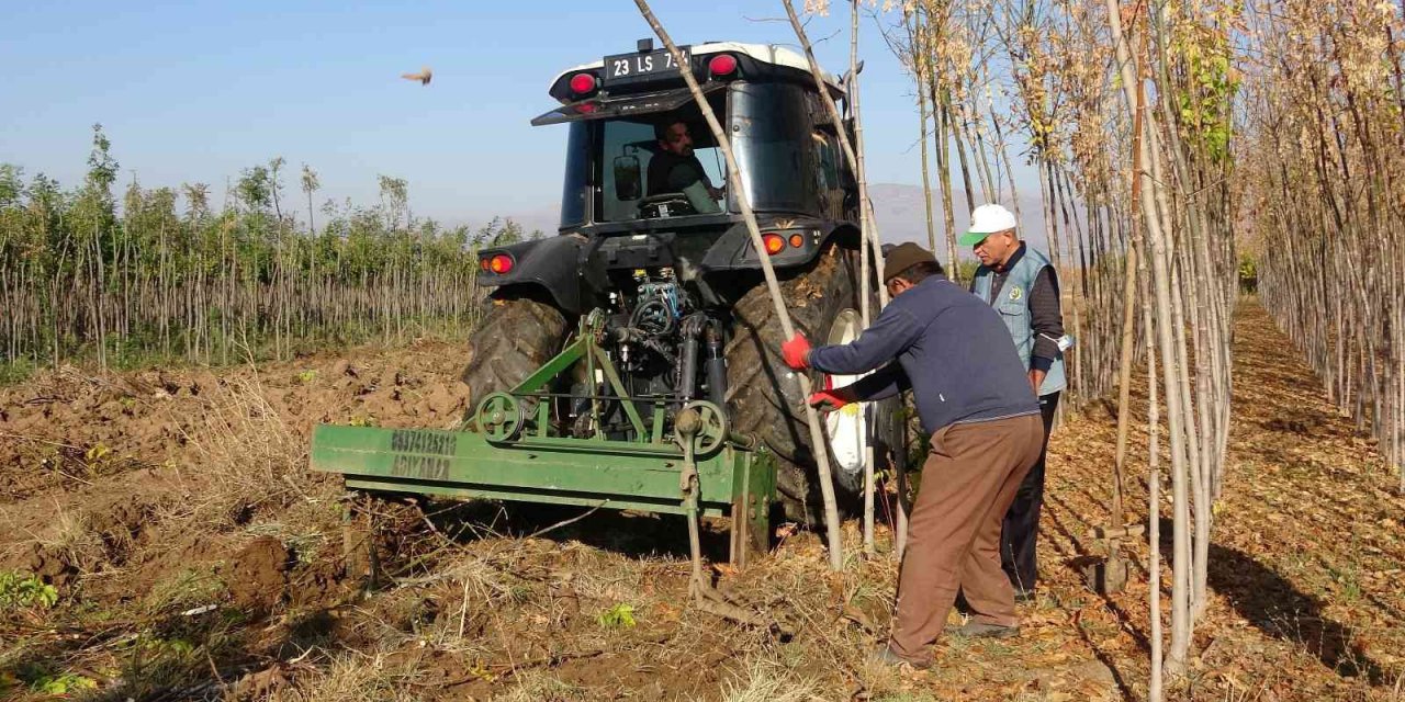 8 ilde 12 milyon fidan toprakla buluşacak