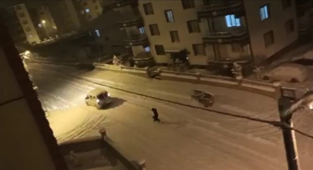 Araca arkasına bağladığı iple karda kayak yaptı
