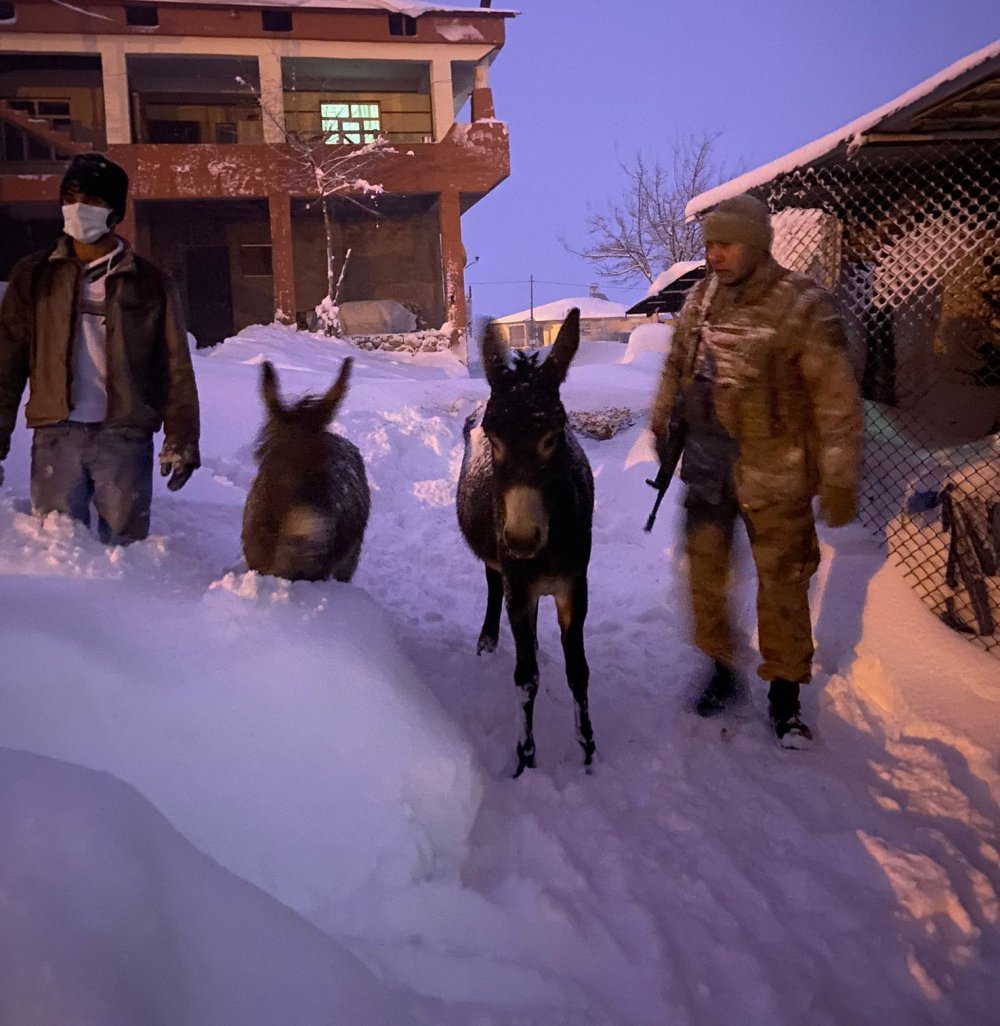 Arıcak ilçesinde donmak üzere olan hayvanlar kurtarıldı