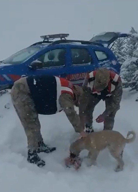 Jandarma ve polisten yüreklere dokunan hareket
