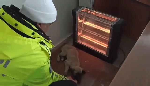 Donmak üzere olan yavru köpeğe polisler sahip çıktı