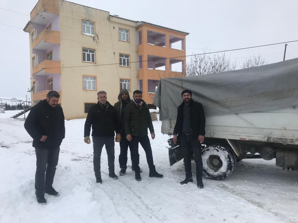 Ayağı kırılan katıra vatandaşlar sahip çıktı