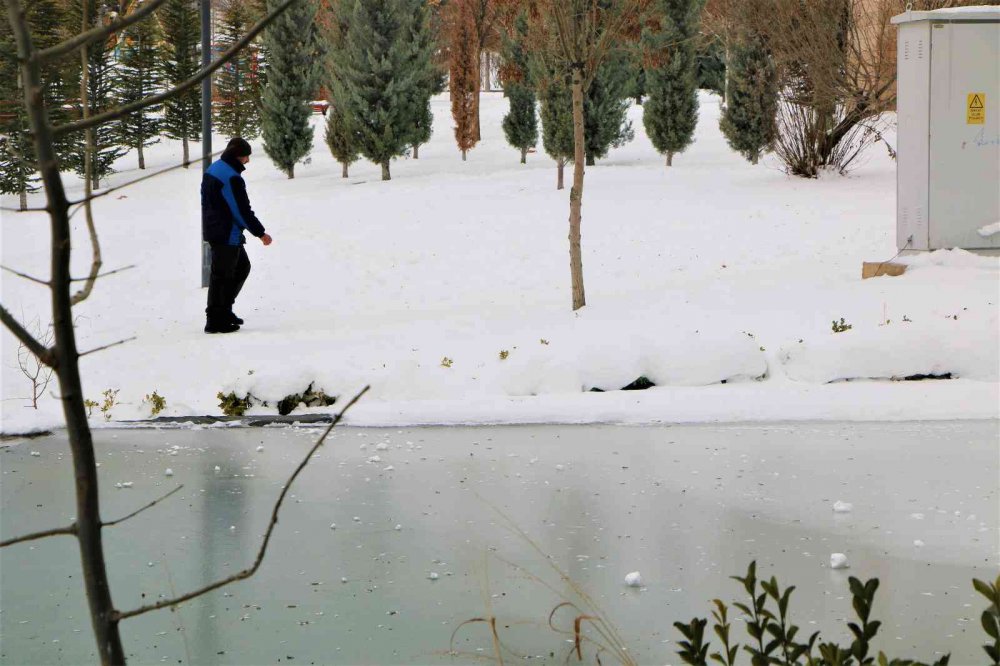 Süs havuzları dondu, ortaya kartpostallık görüntüler çıktı