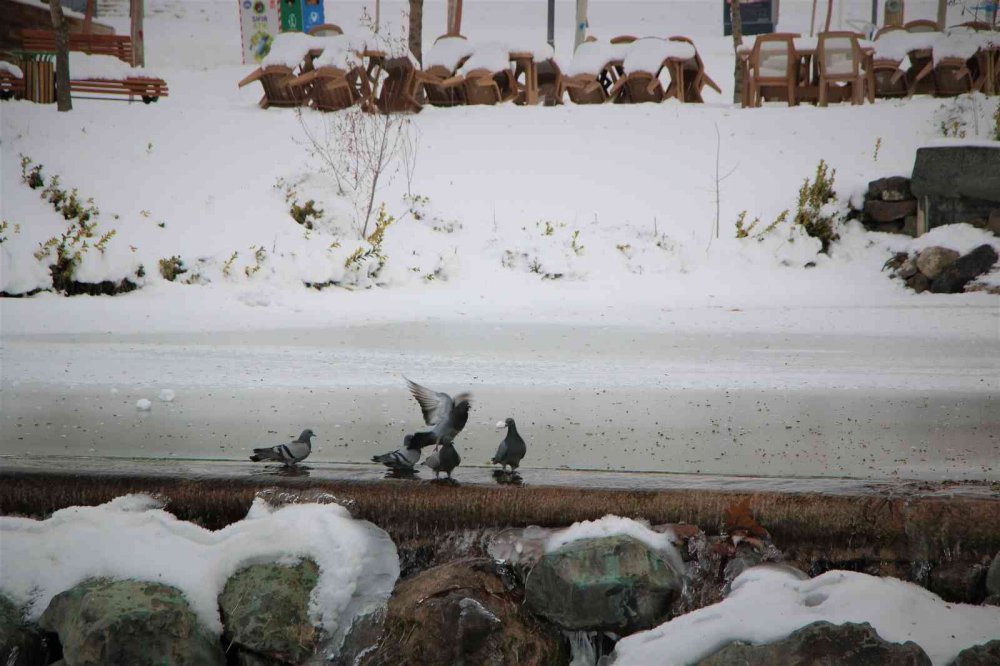 Süs havuzları dondu, ortaya kartpostallık görüntüler çıktı