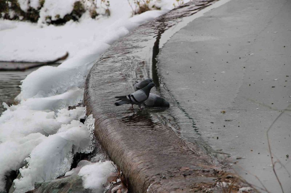 Süs havuzları dondu, ortaya kartpostallık görüntüler çıktı