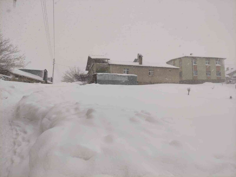 Arıcak kara teslim oldu