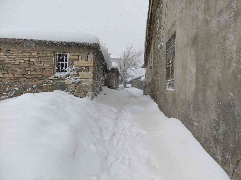 Arıcak kara teslim oldu
