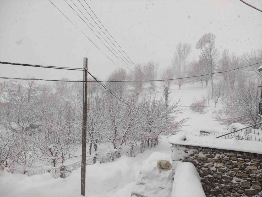 Arıcak kara teslim oldu