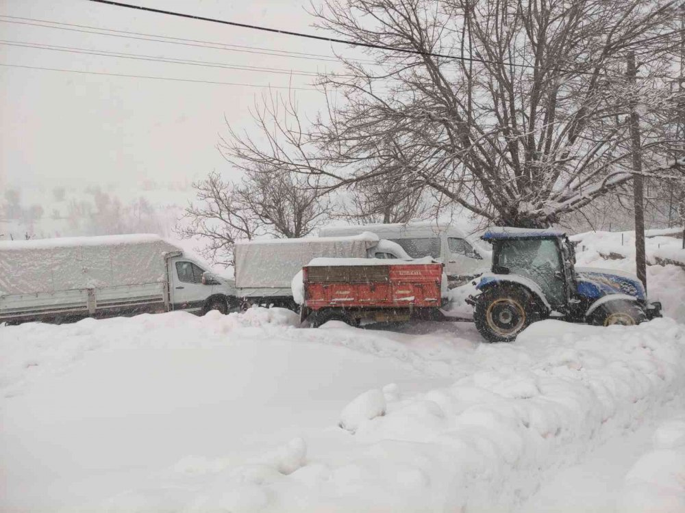 Arıcak kara teslim oldu