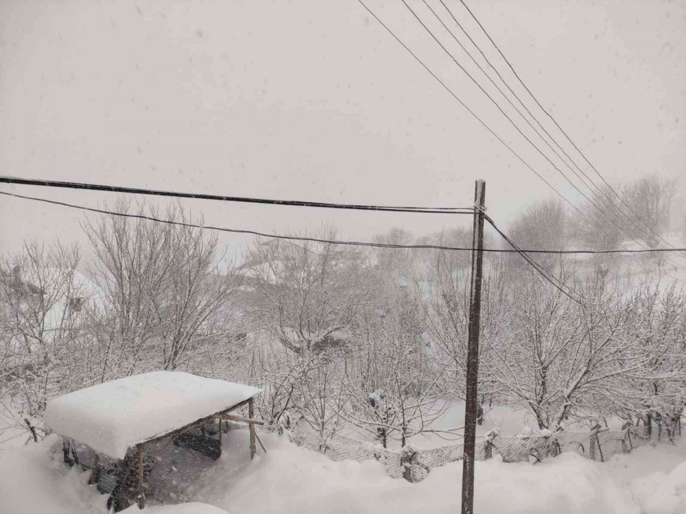 Arıcak kara teslim oldu