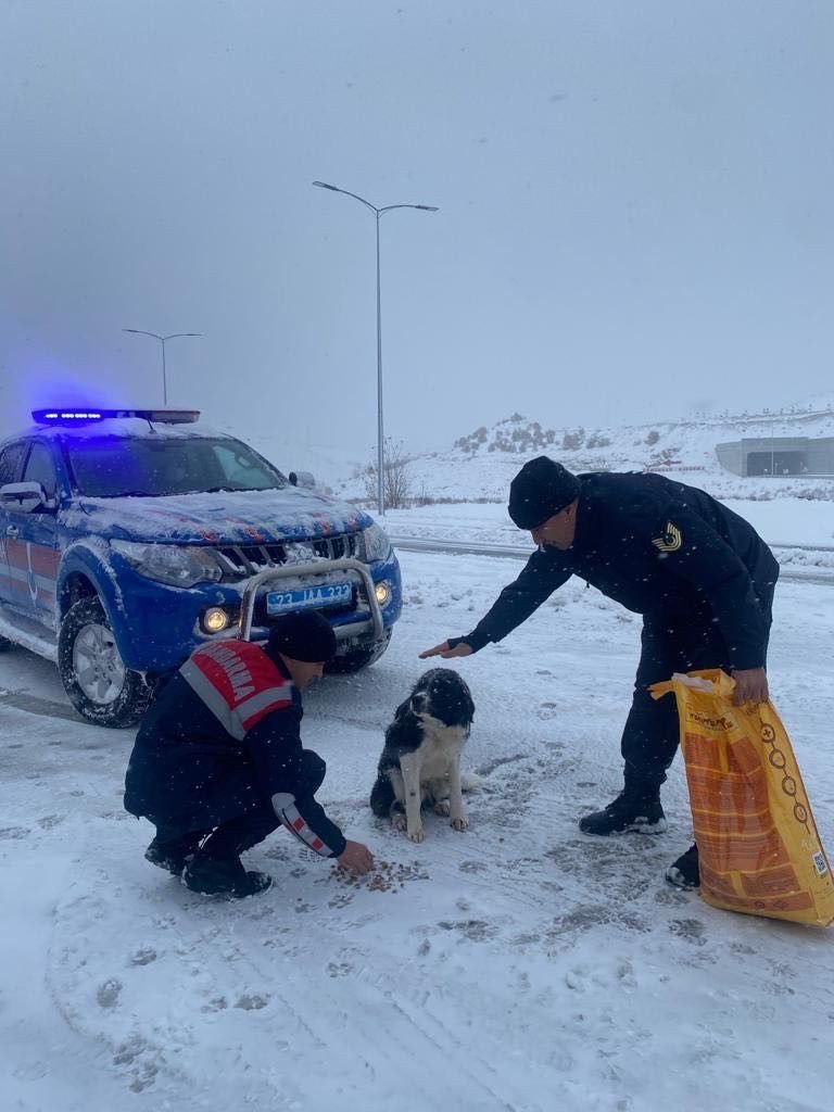 Jandarma ekipleri sokak ve yaban hayvanlarını yanında olmaya devam ediyor