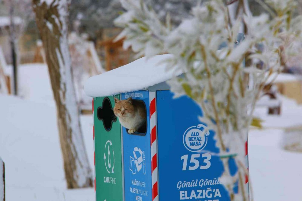 Medeniyetler beşiği Harput’ta kartpostallık görüntüler oluştu