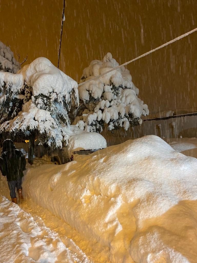 Alacakaya da kar yağışı nedeniyle düğün salonunun çatısı çöktü