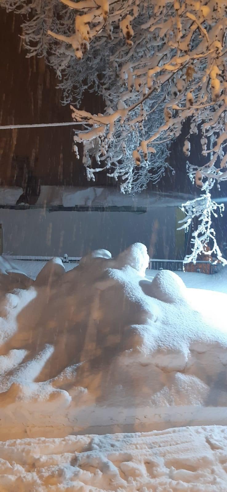 Alacakaya da kar yağışı nedeniyle düğün salonunun çatısı çöktü