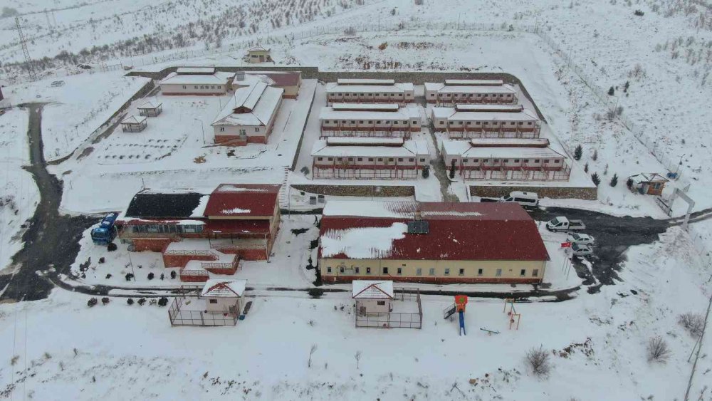 Elazığ Belediyesi Hayvan Hastanesi ve Bakım Evinde 5 binin üzerinde hayvan tedavi edildi