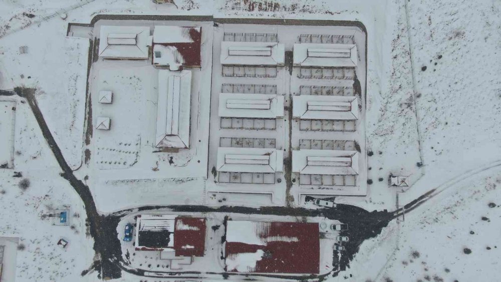 Elazığ Belediyesi Hayvan Hastanesi ve Bakım Evinde 5 binin üzerinde hayvan tedavi edildi