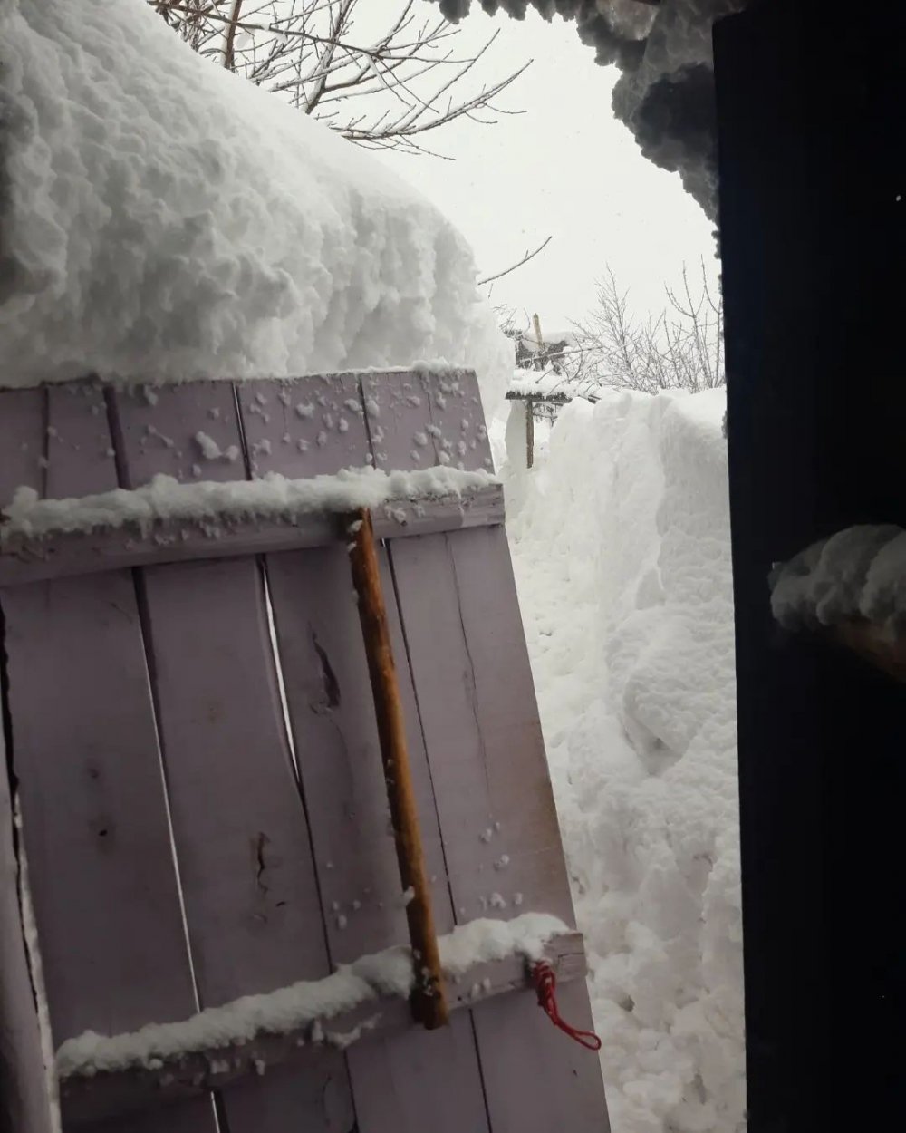 Komşularına gitmek için tünel açtılar