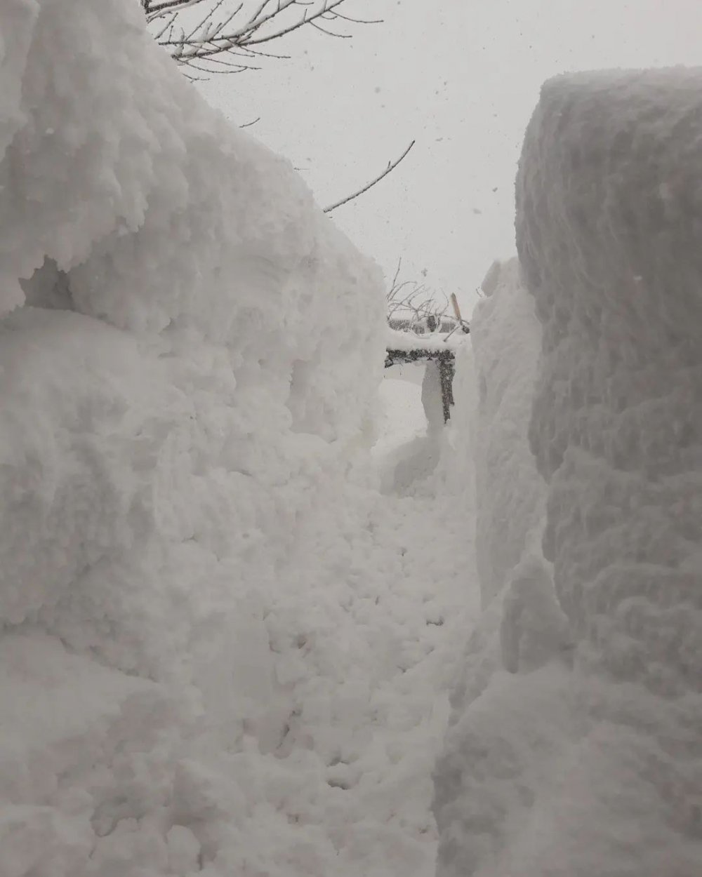 Komşularına gitmek için tünel açtılar