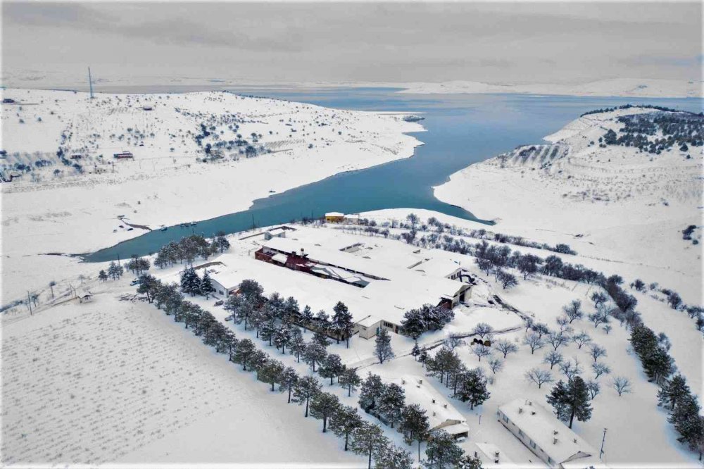Türkiye’nin en yaşlı ilçesi Ağın’da kar manzarası