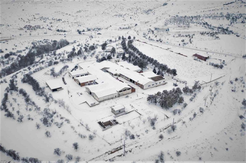 Türkiye’nin en yaşlı ilçesi Ağın’da kar manzarası