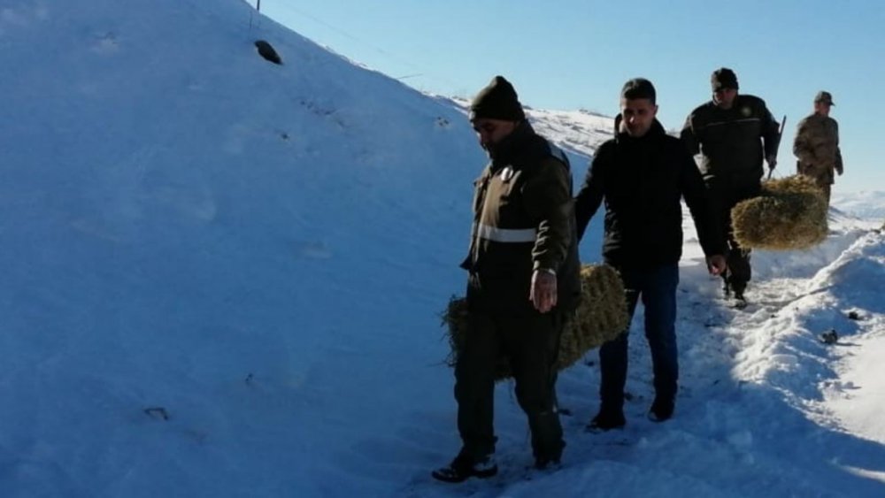 Yaban hayvanları unutulmadı, doğaya yem bırakıldı