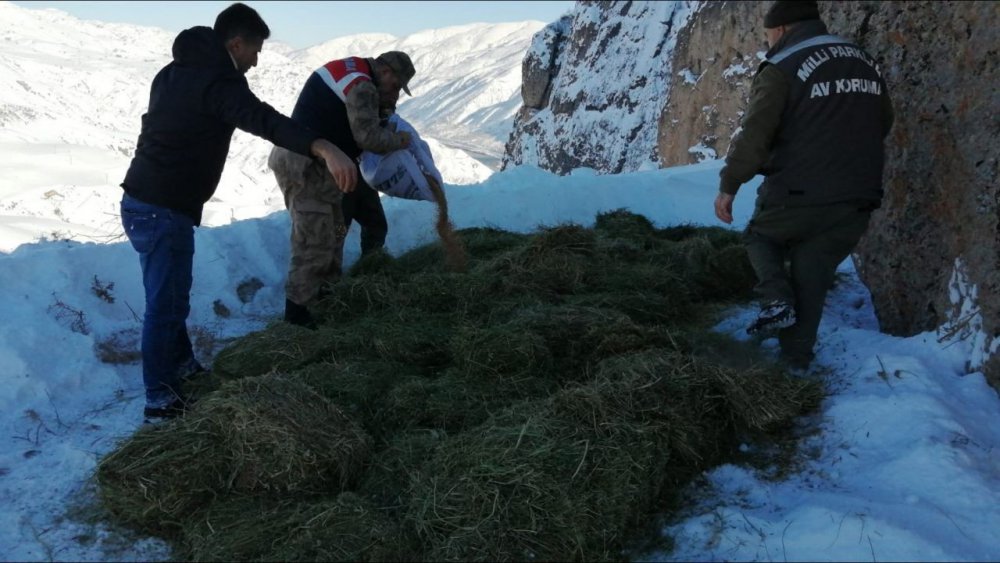 Yaban hayvanları unutulmadı, doğaya yem bırakıldı