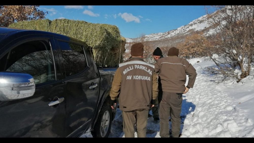 Yaban hayvanları unutulmadı, doğaya yem bırakıldı
