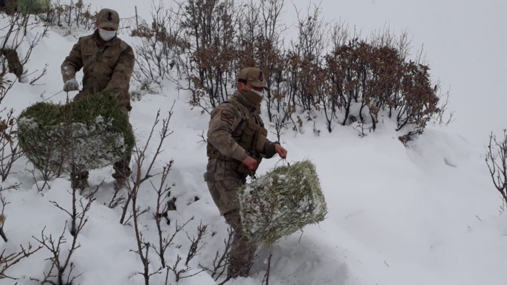 Yaban hayvanları unutulmadı, doğaya yem bırakıldı