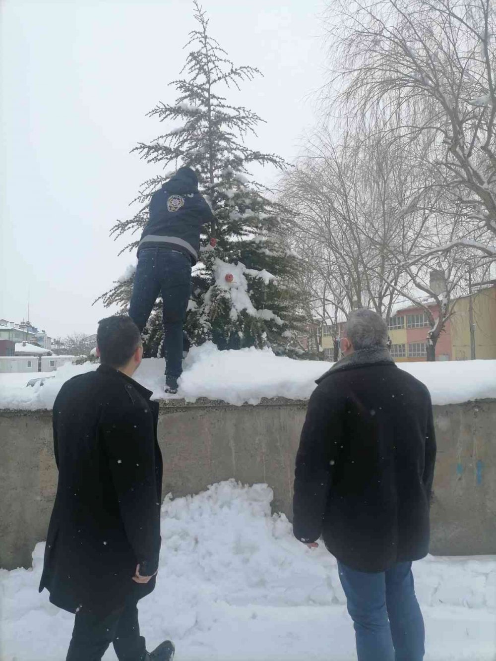 Yaban ve sokak hayvanları unutulmadı