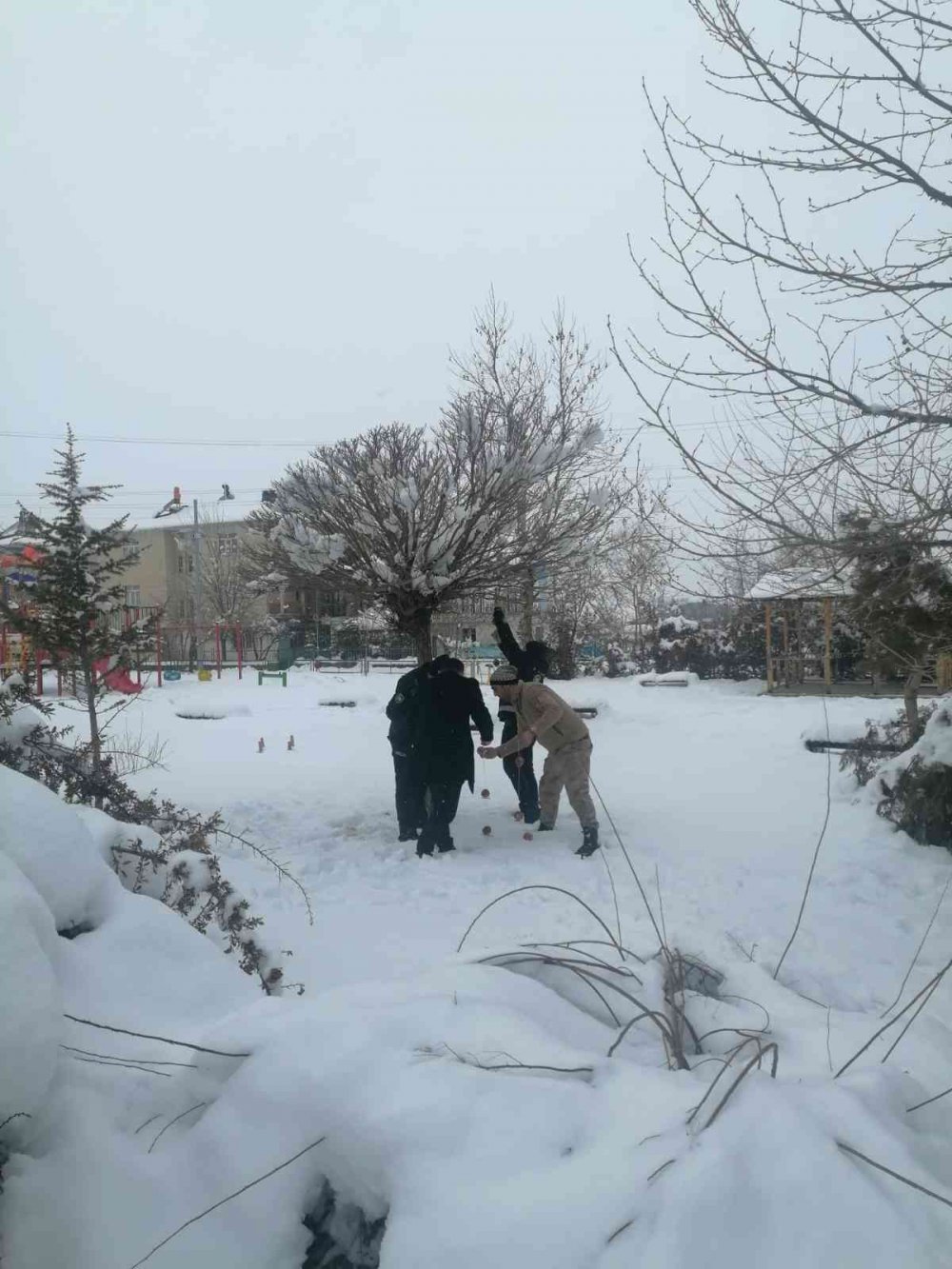 Yaban ve sokak hayvanları unutulmadı