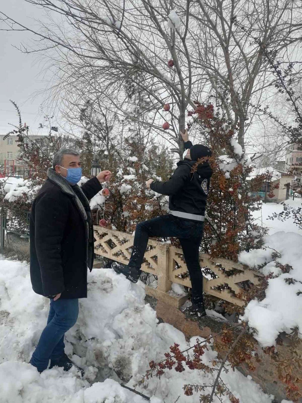 Yaban ve sokak hayvanları unutulmadı