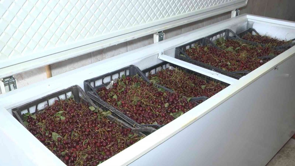 Patentli lezzet vişne dondurmasına kışın yoğun ilgi