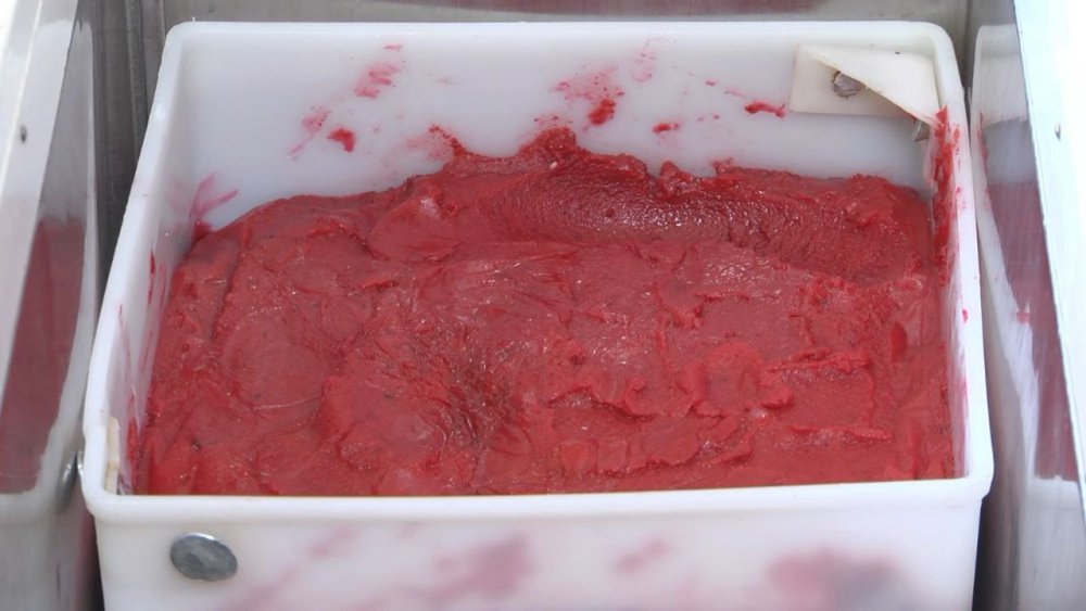 Patentli lezzet vişne dondurmasına kışın yoğun ilgi