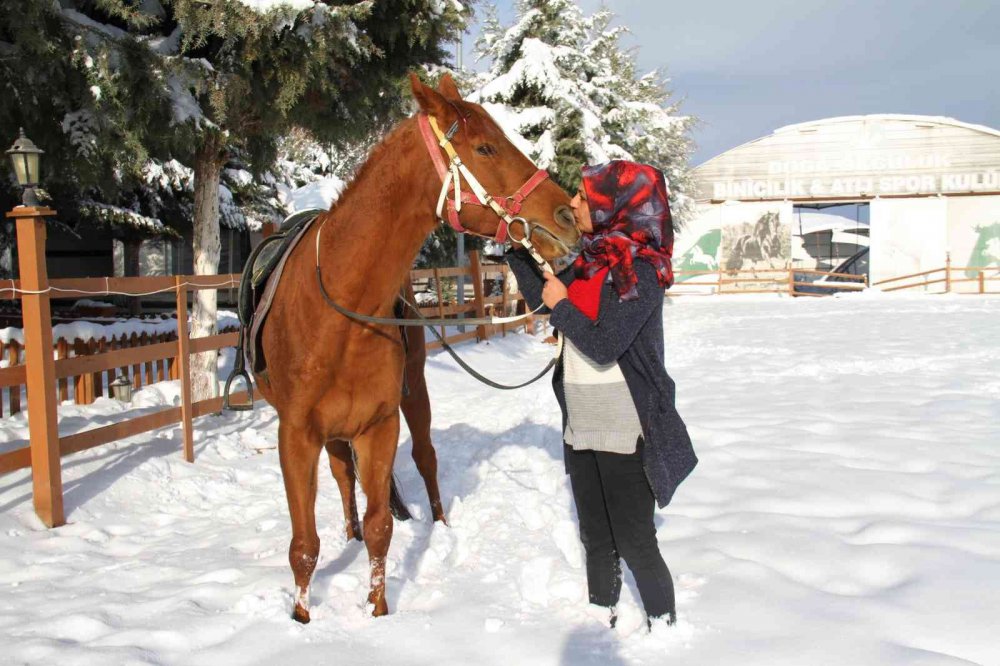 ’Yapamazsın’ dediler hırs yaptı Elazığ’ın tek kadın seyisi oldu
